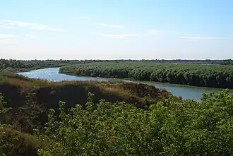 L'Irtych dans l'oblast.