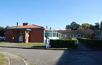 Service des consultations canines et félines