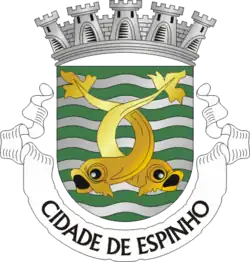 Blason de Espinho