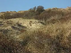 Les Dunes d'Écault