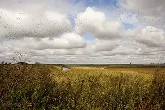 Image illustrative de l’article Egholm