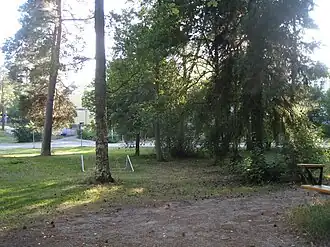 Quelques sapins du parc.