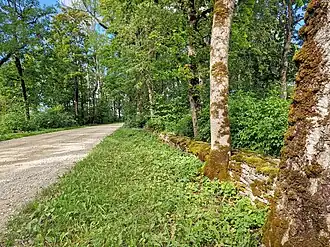 Image illustrative de l’article Route secondaire 11167 (Estonie)