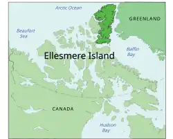 En vert foncé, l'île d'Ellesmere, lieu où ont été découverts les fossiles de l'animal.