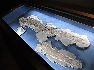 Description de cette image, également commentée ci-après