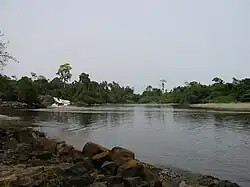 Embouchure de la Lobé