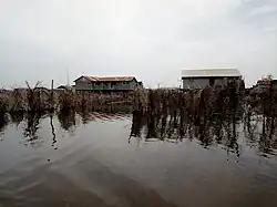Acadjas et habitats à la cité lacustre de Ganvié.