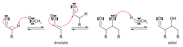 Mécanisme de la réaction d'un aldéhyde avec lui-même en catalyse basique.