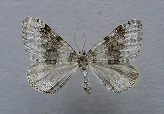 Description de cette image, également commentée ci-après