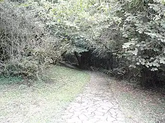 Approche de la grotte