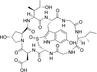 Image illustrative de l’article Epsilon-Amanitine