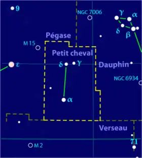Image illustrative de l'article Petit Cheval