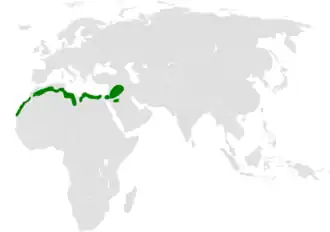 Description de l'image Eremophila_bilopha_distribution_map.png.