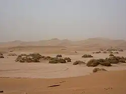 Plus grand erg du Maroc, les dunes de Chigaga se dévoilent imposantes