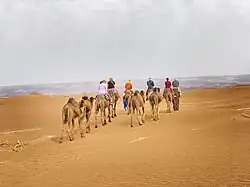 Erg Chigaga Camel Trek