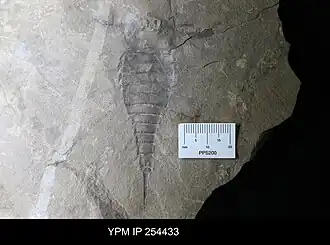 Description de cette image, également commentée ci-après