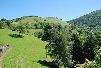 Prés de fauche et forêt au cap d'Erp.