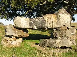Photo d'un dolmen au centre d'une pelouse.