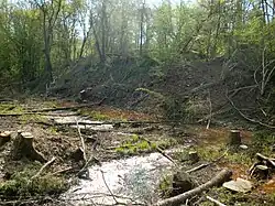 Photographie d'un étang rouge dans une forêt défrichée.