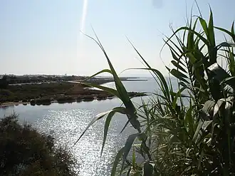 L'étang de l'or près de Montpellier.