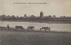 Carte postale ancienne illustrant l'étang du Pin.