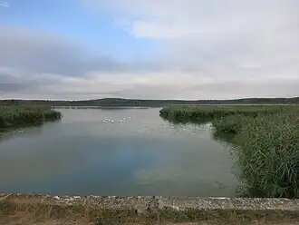 Les étangs de Belval.