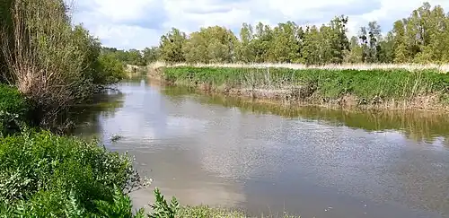 Étier de Bouguenais