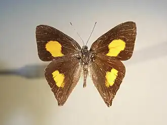 Description de cette image, également commentée ci-après