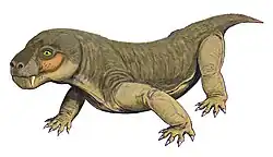 Dessin en couleurs (gris et vert foncé) d'un corps d'Euchambersia mirabilis.