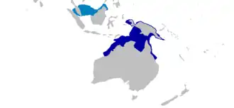 Description de l'image Eucrossorhinus_dasypogon_distmap.png.