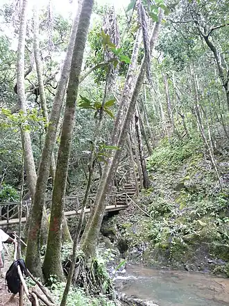 Description de cette image, également commentée ci-après