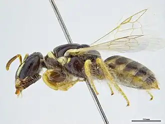 Description de cette image, également commentée ci-après