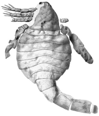 Description de cette image, également commentée ci-après