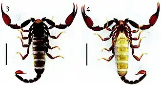 Description de cette image, également commentée ci-après