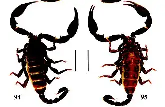 Description de cette image, également commentée ci-après