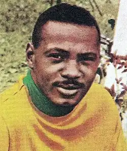 Image illustrative de l’article Everaldo