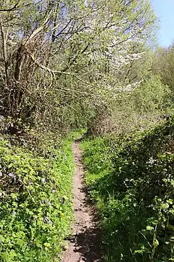 Le GR VA dans les Everbeekse bossen&nbsp;(nl)