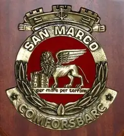 Image illustrative de l’article Brigade de Marine « San Marco »