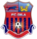 Logo du Dila Gori