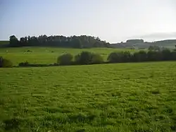 Des prairies dans le canton de Carignan.