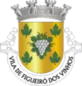 Blason de Figueiró dos Vinhos
