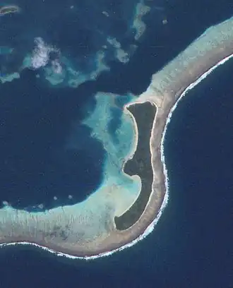 Image illustrative de l’article Faioa