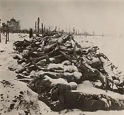 Morts de la famine en Russie, photographie de Fridtjof Nansen, 1921