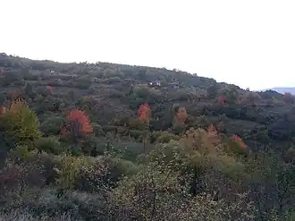 Sedlare (Kosovska Kamenica)