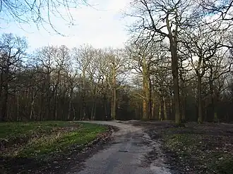 Image illustrative de l’article Forêt de Fausses-Reposes