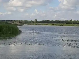 Image illustrative de l’article Lac Feder