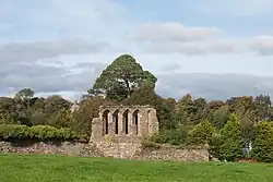 Ruines depuis le sud.