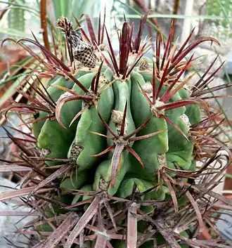 Description de cette image, également commentée ci-après