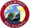 Image illustrative de l’article Fico Bianco del Cilento