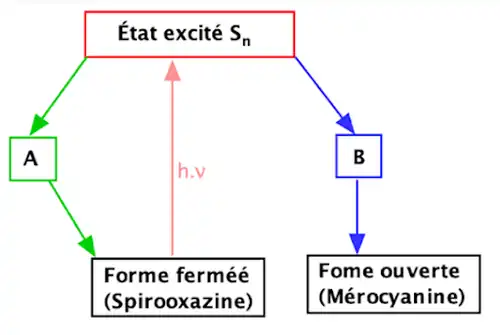 Fig 2: Mécanisme de la phototransformation de la forme fermée vers la forme ouverte